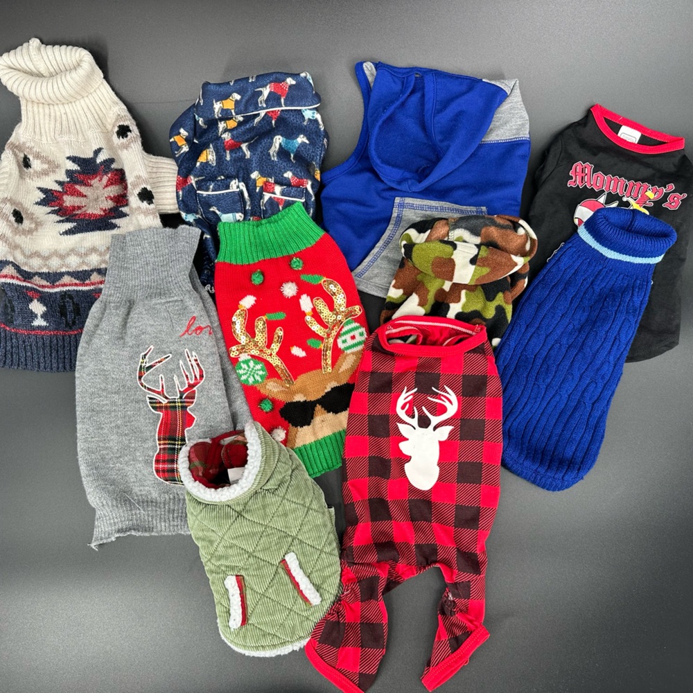 Set Of 10 Small Dog Outfits